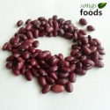 bigger size janpanese red kidney beans - product's photo