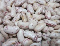 dry pinto beans - product's photo
