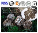 organic dried maitake mushroom - product's photo