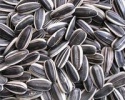 sunflower seeds - product's photo
