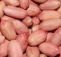 peanut kernels  - product's photo