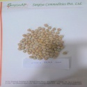 indian kabuli chick peas - product's photo