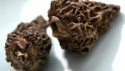 dried morel mushrooms (verpas bohemica) - product's photo