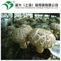 mushroom spawn mycelia - product's photo