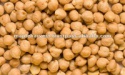 high quality and best selling chickpeas - product's photo