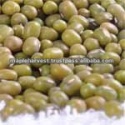 green mung beans - product's photo