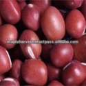 small red beans - product's photo