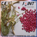 red dry kidney beans  - product's photo