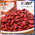 high quality organic chinese dark red kidney beans - product's photo