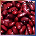 small red kidney bean picking by hand - product's photo