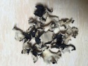 dried black fungus cut 2x2cm - product's photo