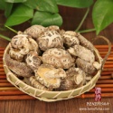 dried shiitake mushroom with stick(white flower) - product's photo