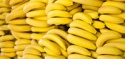 fresh bananas fruit - product's photo
