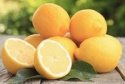 citrus fruits - product's photo