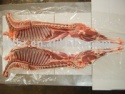 mutton whole carcass - product's photo