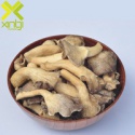 fried oyster mushroom snacks - product's photo
