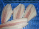 frozen whole pangasius fish - product's photo