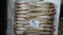 frozen lady fish - product's photo