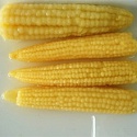 cannedbaby corn  - product's photo