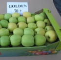 golden delicious apples - product's photo