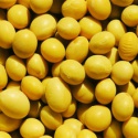 superior quality soy beans - product's photo