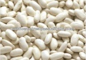 white kidney beans hps grade - product's photo