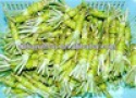wasabi paste made in chinsese factory - product's photo