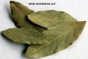bay leaves - product's photo