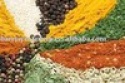 indian spices manufacturers exporters suppliers - product's photo