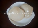 top quality canned bailing mushroom - product's photo