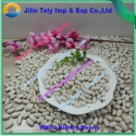 white kidney beans - product's photo