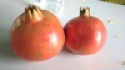 fresh pomogranate - product's photo