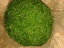 green chilli - product's photo
