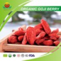 2015 lower price fresh organic dried goji berry - product's photo