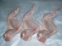 halal grade a chicken feet / frozen chicken paws brazil/chicken wings - product's photo