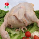 halal quality chicken the whole chicken - product's photo