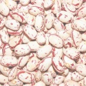 different types dried beans - product's photo