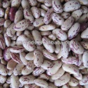 	 white beans price - product's photo