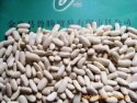 dry white kidney bean - product's photo
