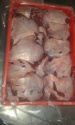 buffalo chick meat - product's photo