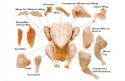 chicken and chicken parts  - product's photo
