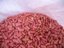 varieties of kidney beans - product's photo