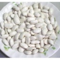 100% best quality-quality kidney beans - product's photo
