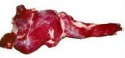 steak buffalo meat - product's photo