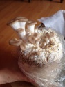 oyster mushroom - product's photo