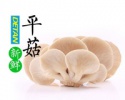 oyster mushroom - product's photo