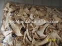 popular dried wild matsutake mushroom - product's photo