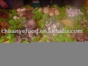 dry wild mushroom - product's photo