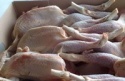 quality halal whole frozen chicken - product's photo