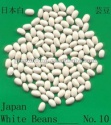  medium white kidney beans - product's photo
